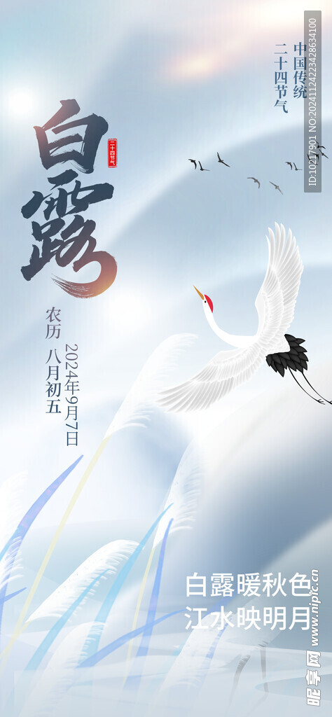 二十四節(jié)氣白露海報