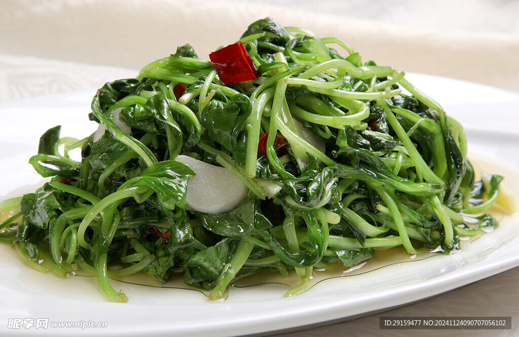 熗炒雞毛菜