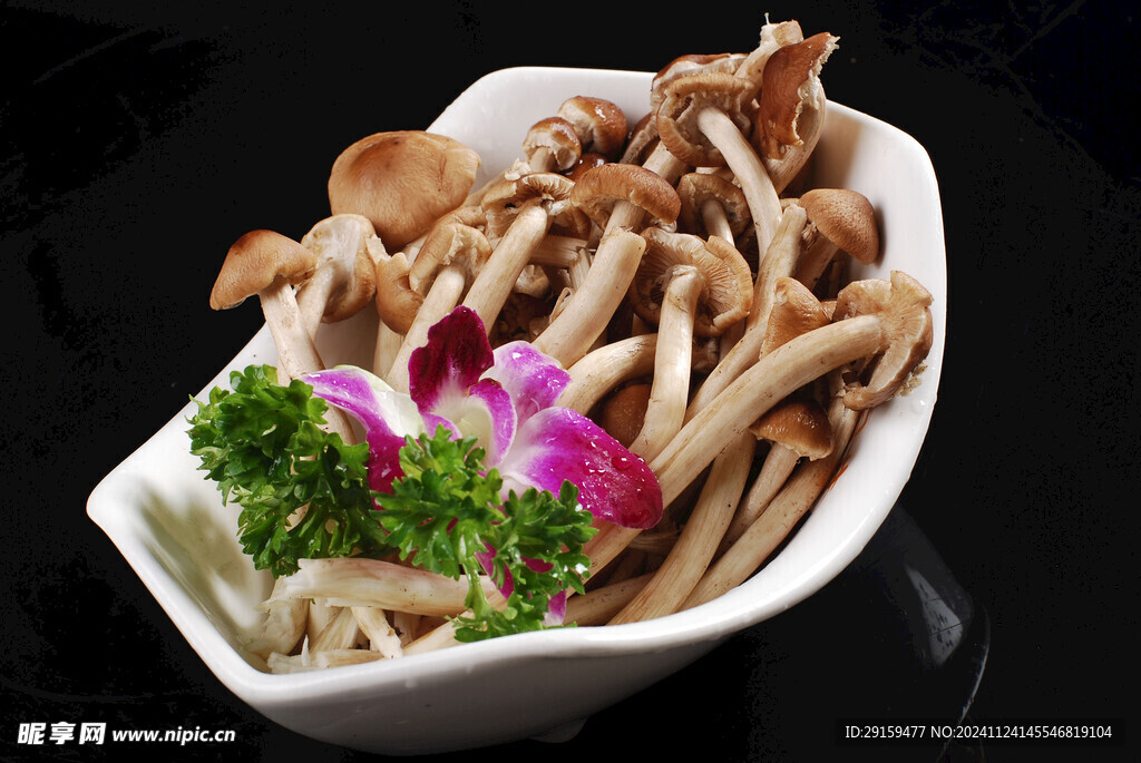 鮮茶樹菇