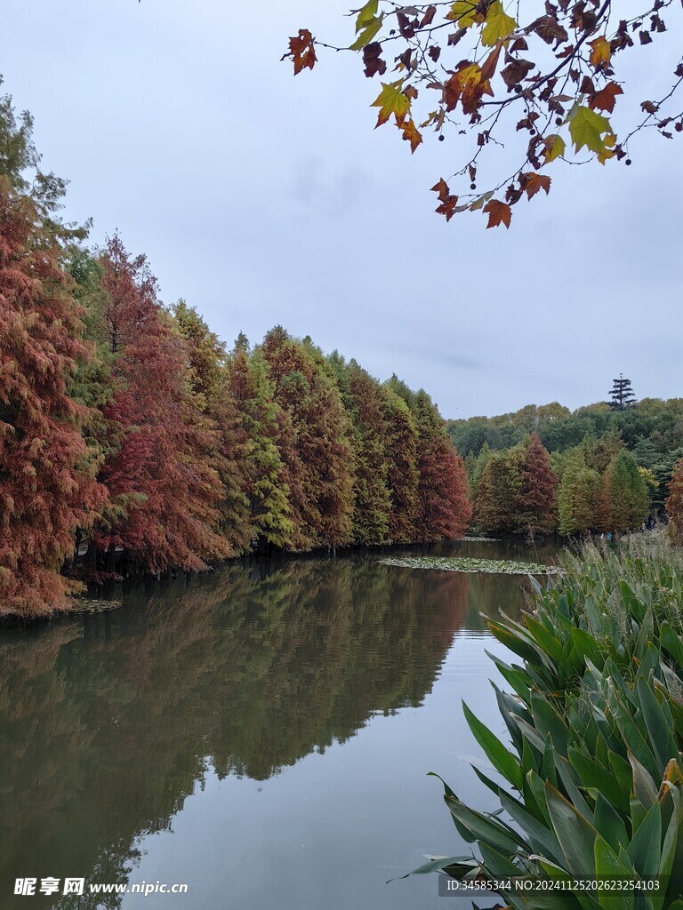 燕雀湖