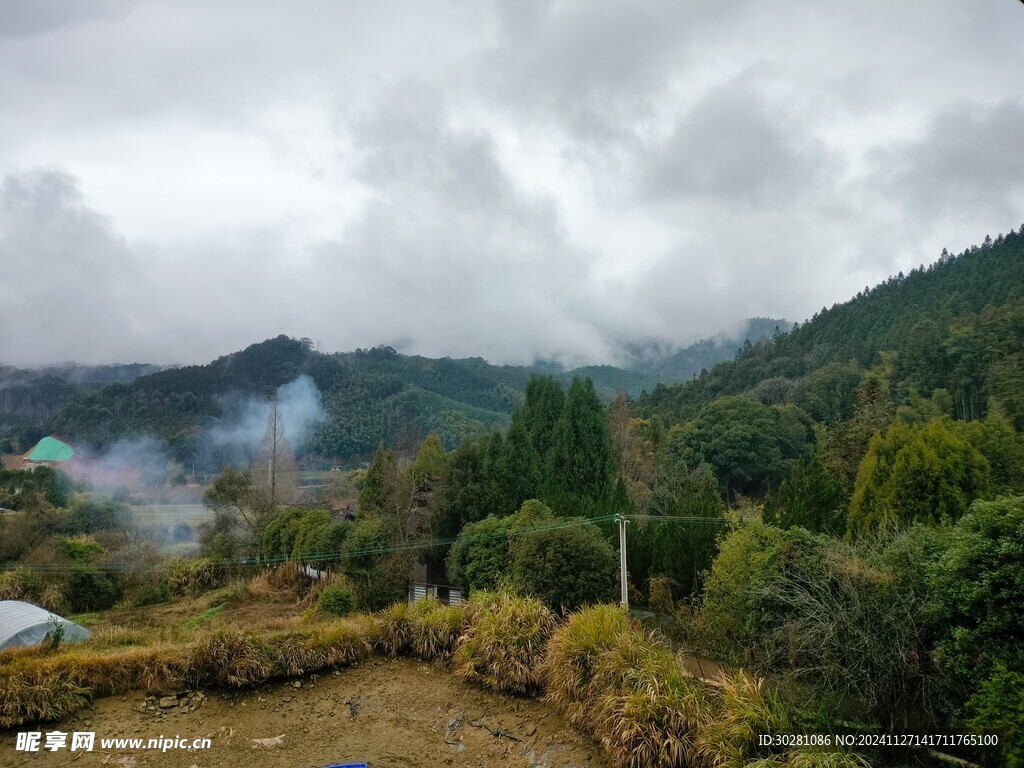 山林