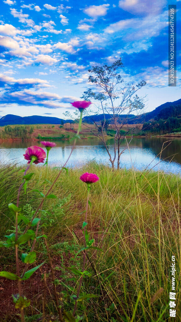 花