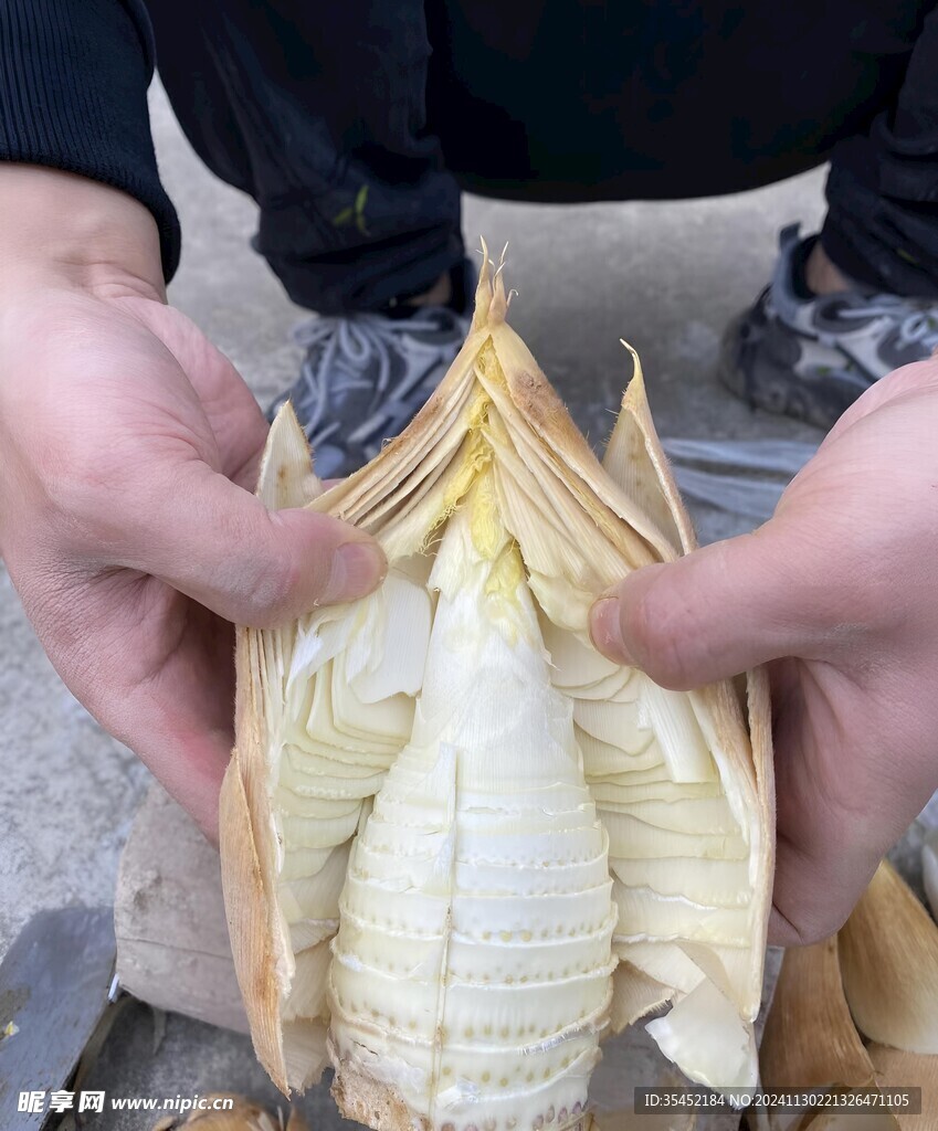剝冬筍