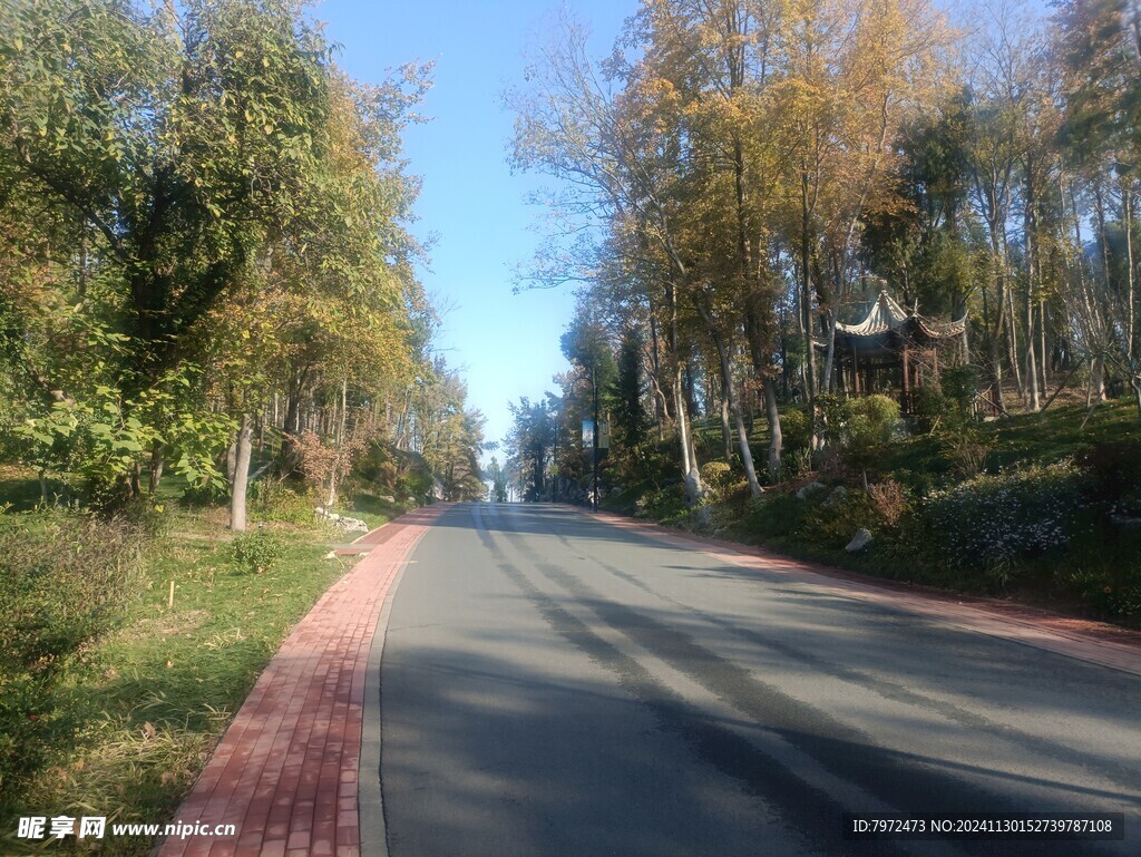 公園綠道