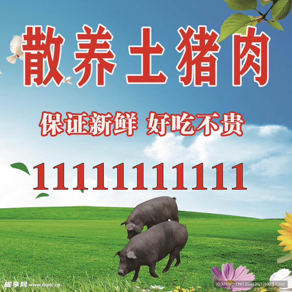 土豬