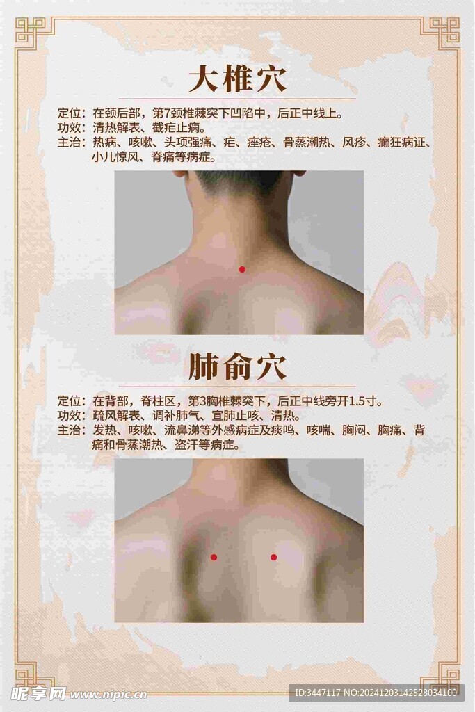 常用穴位解析