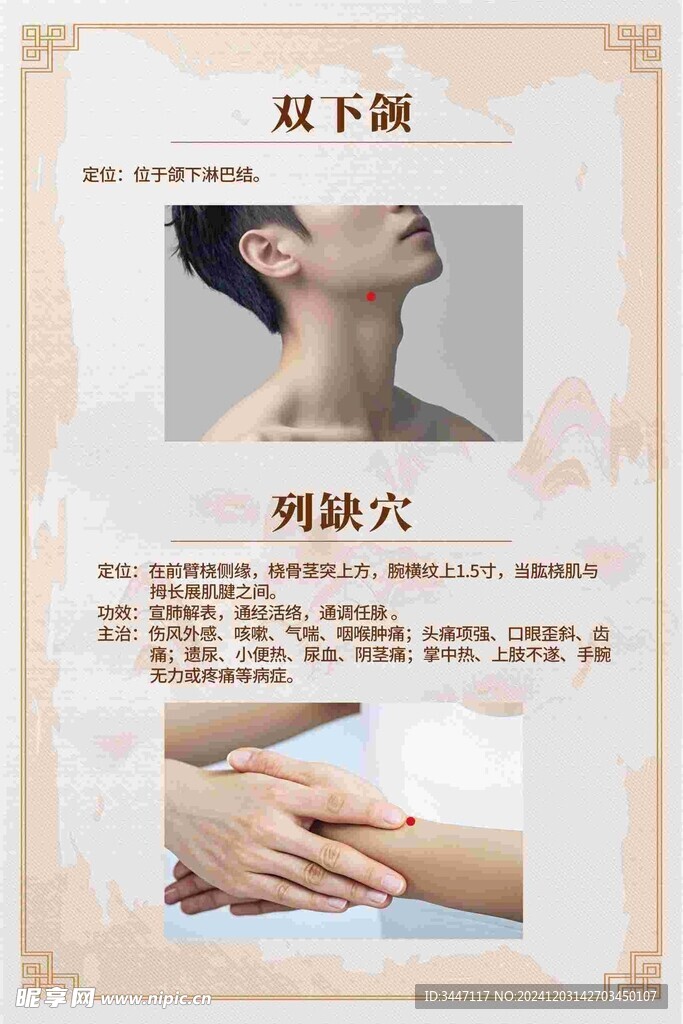 常用穴位解析