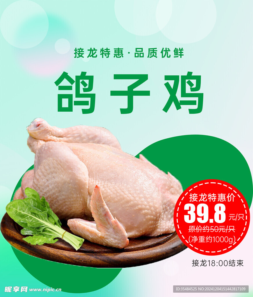 社區團購鴿子雞海報