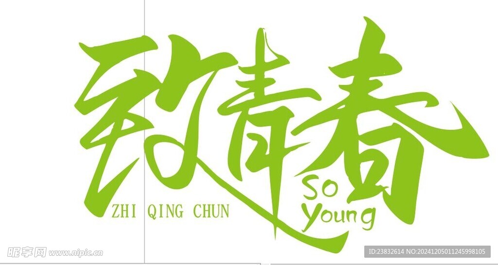 致青春