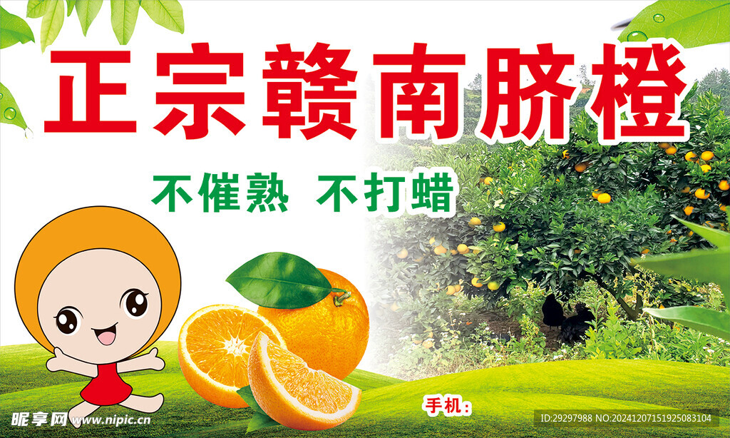 贛南臍橙