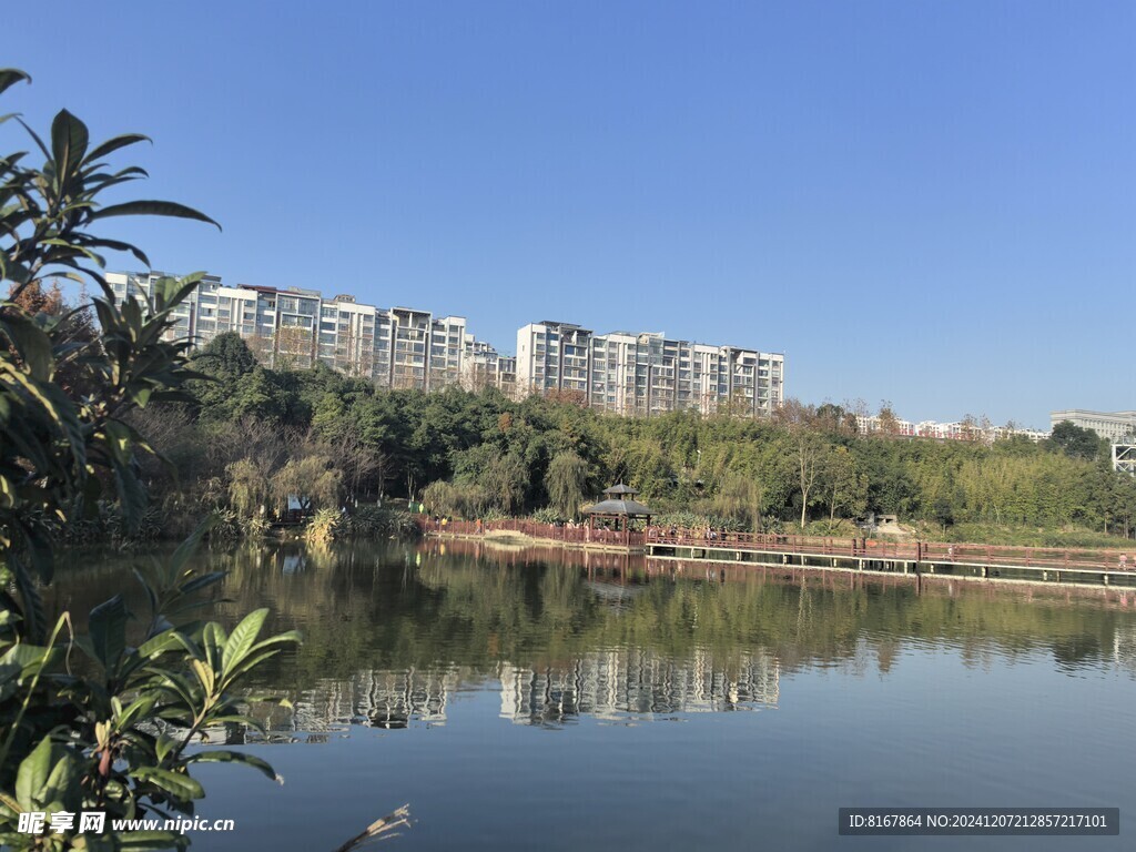 湖景城市