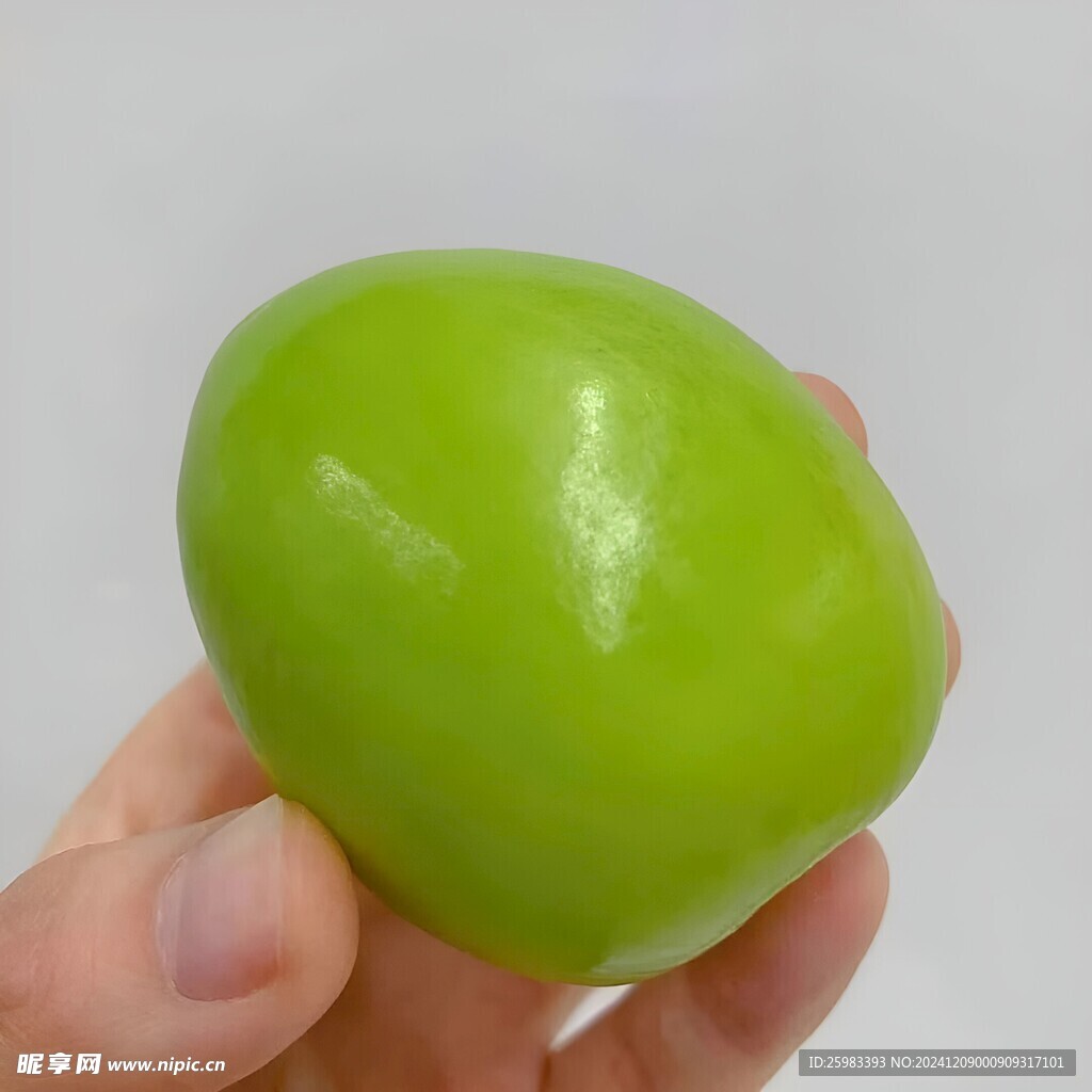 大青棗