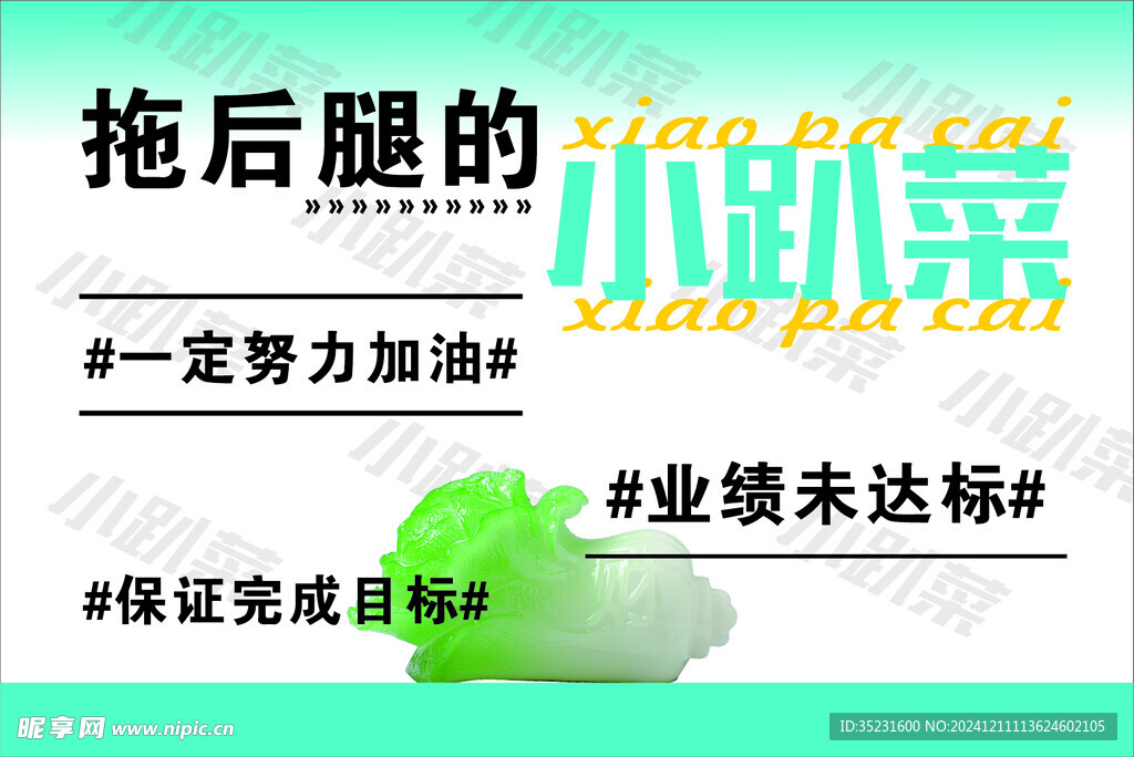小趴菜