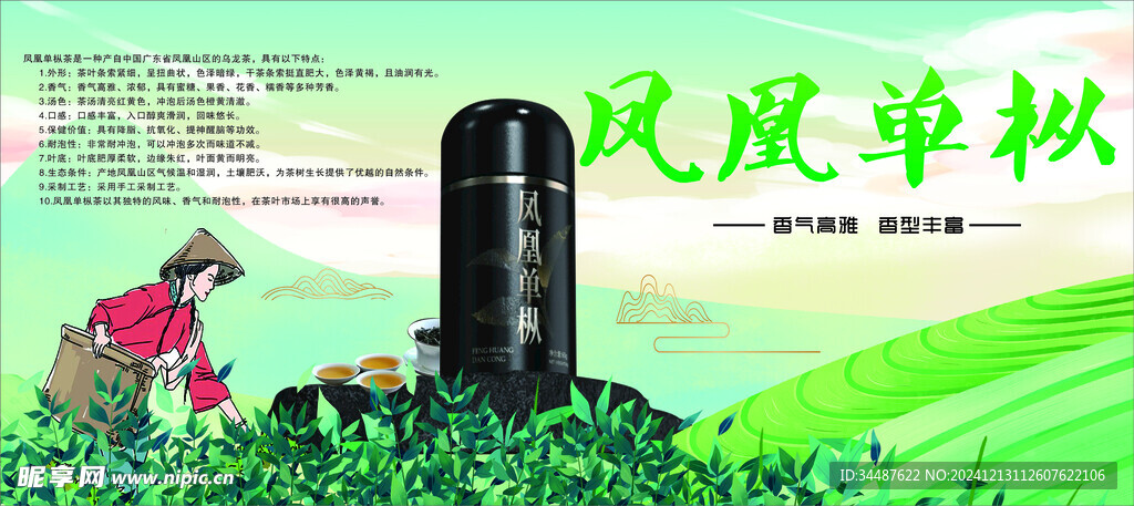 鳳凰單樅  