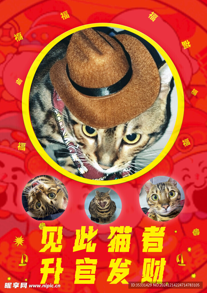 小貓發(fā)財(cái)彩頁