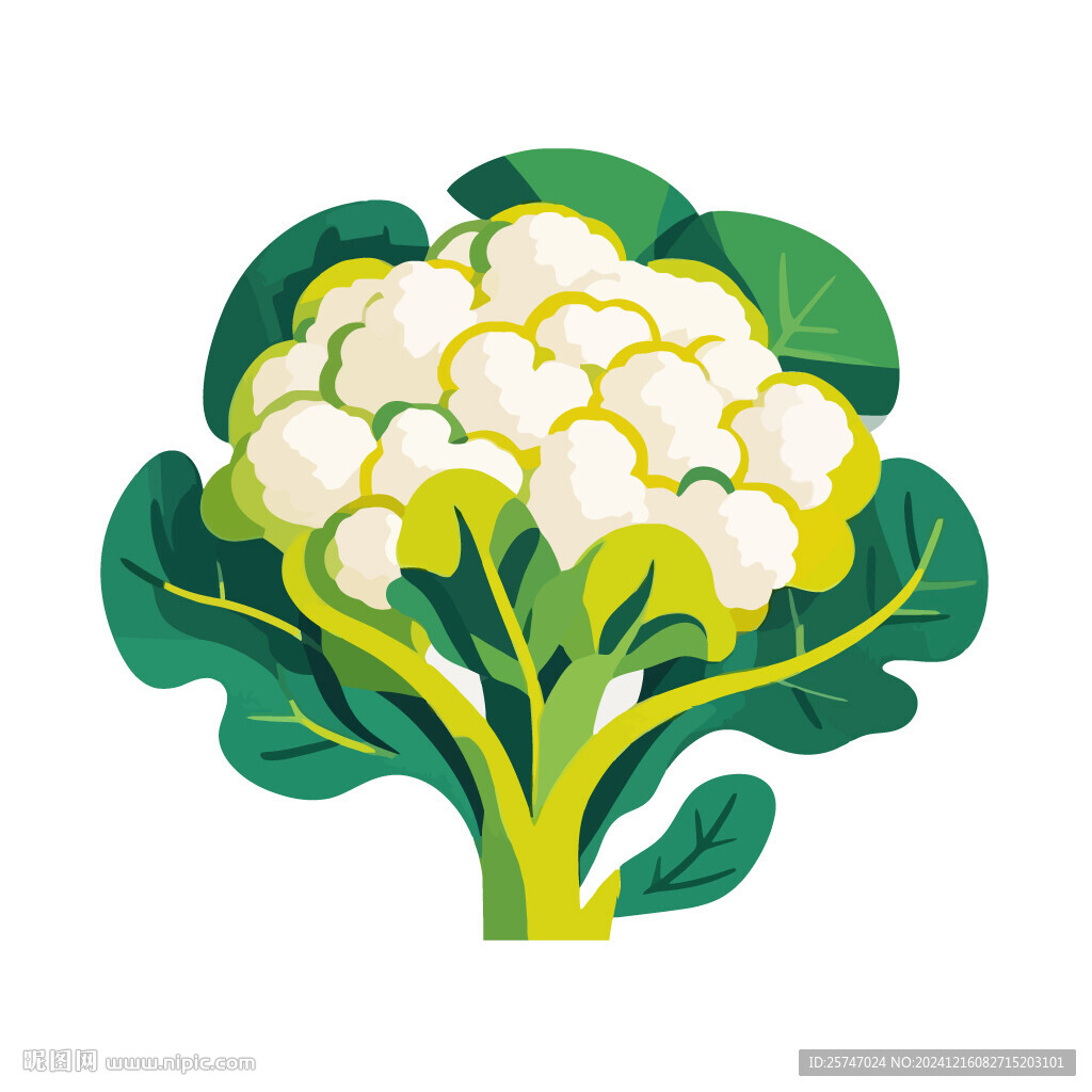 花菜