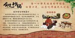 有生砂鍋簡介