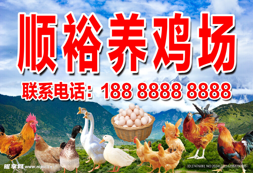 養(yǎng)雞場  大山養(yǎng)殖