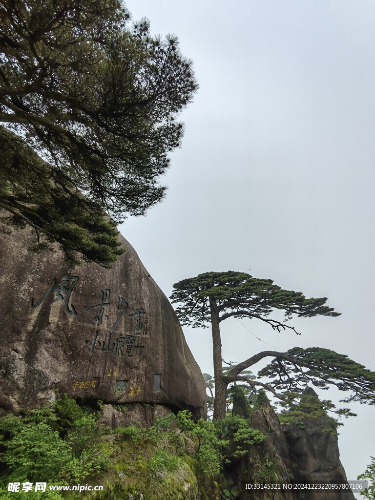 安徽 黃山 迎客松 風景