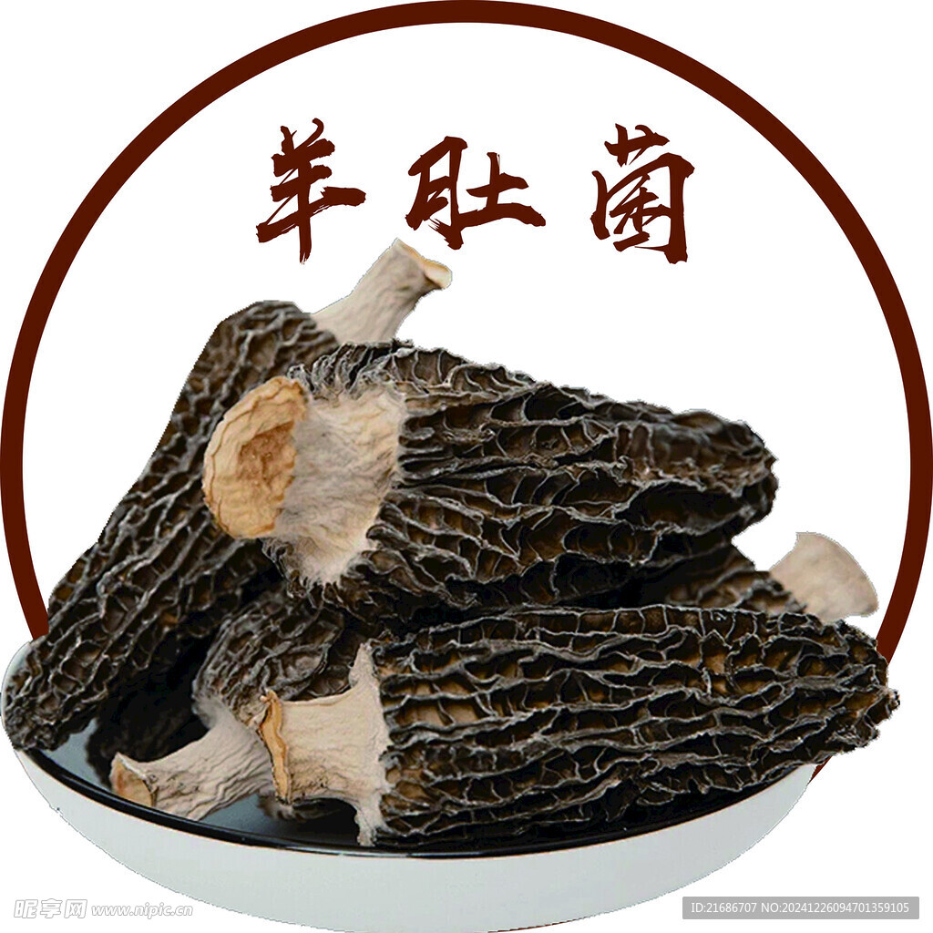 牛肚菌