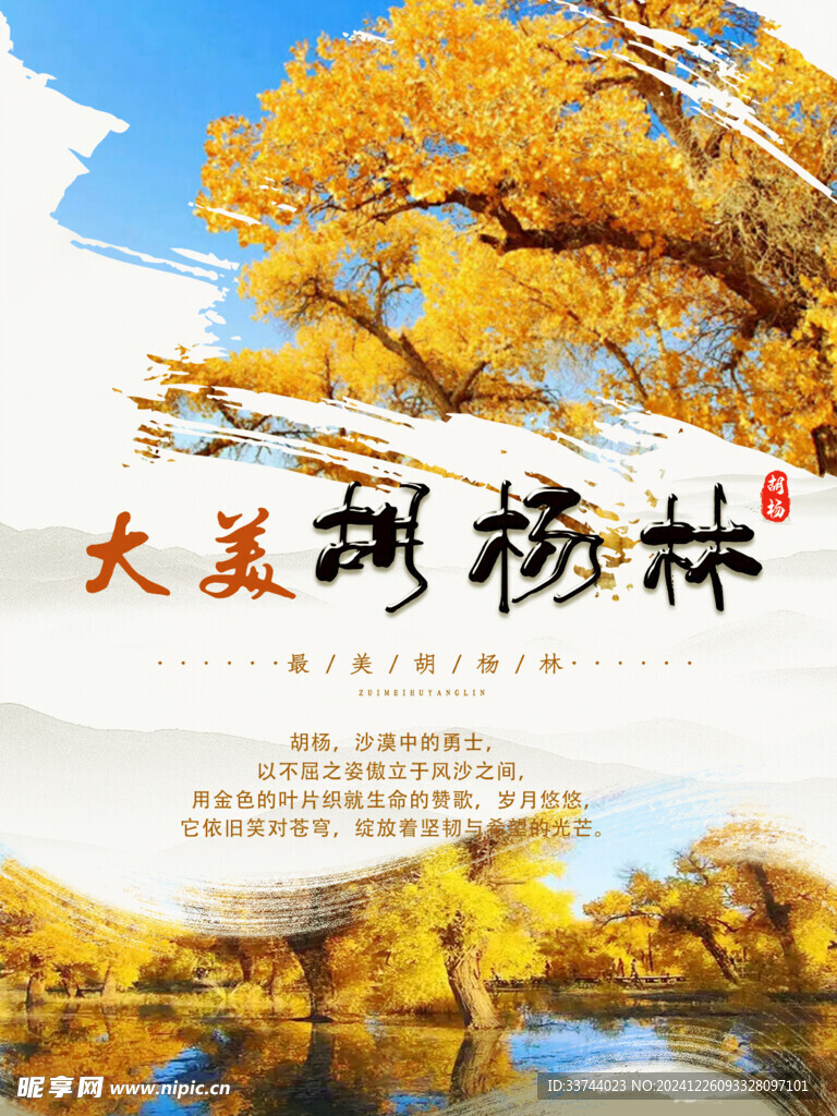 大美胡楊海報