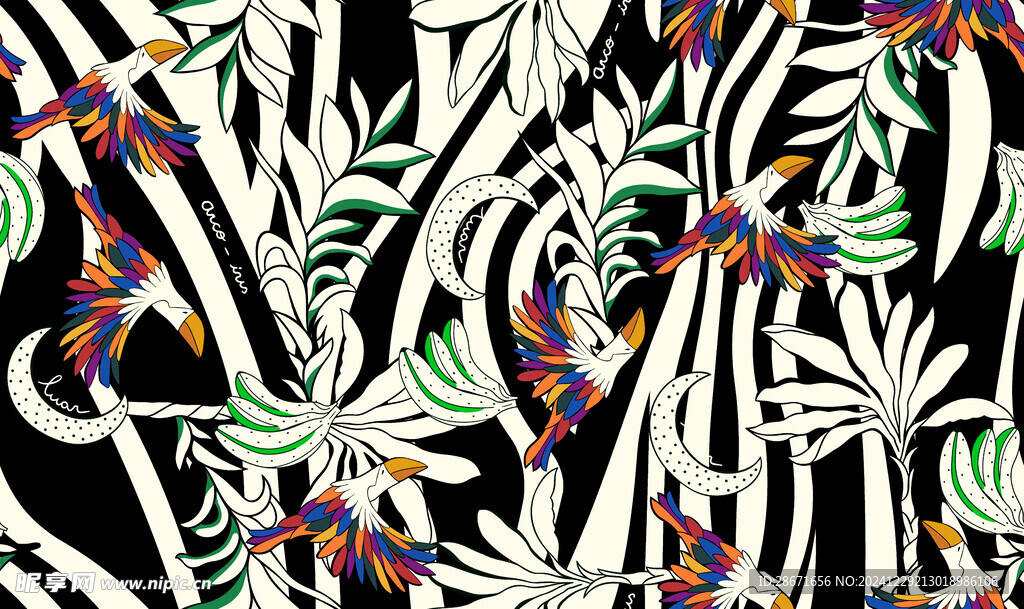 鸚鵡
