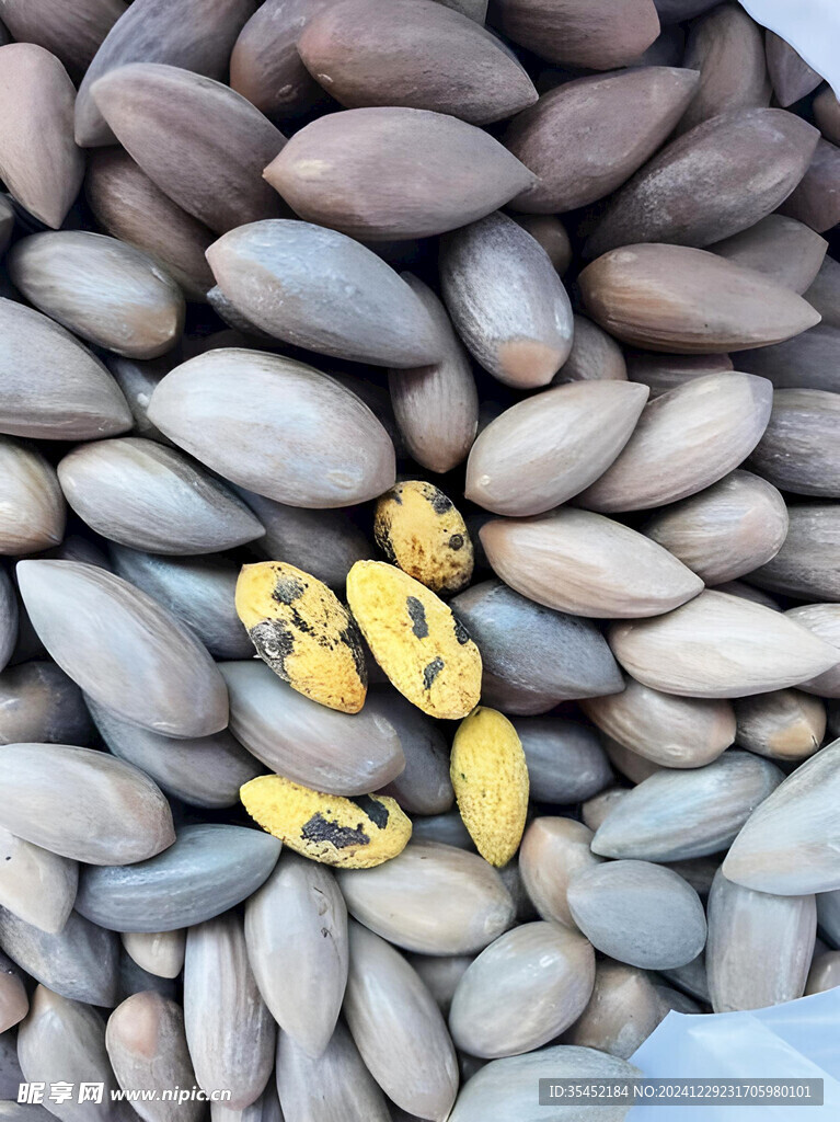 香榧