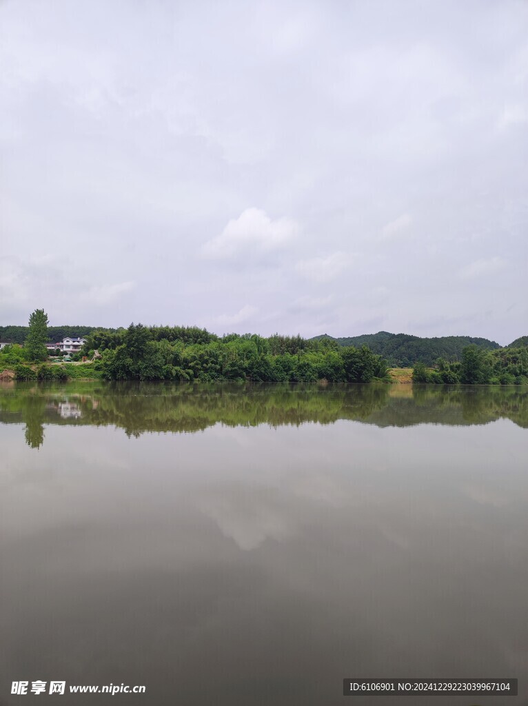 河邊樹木