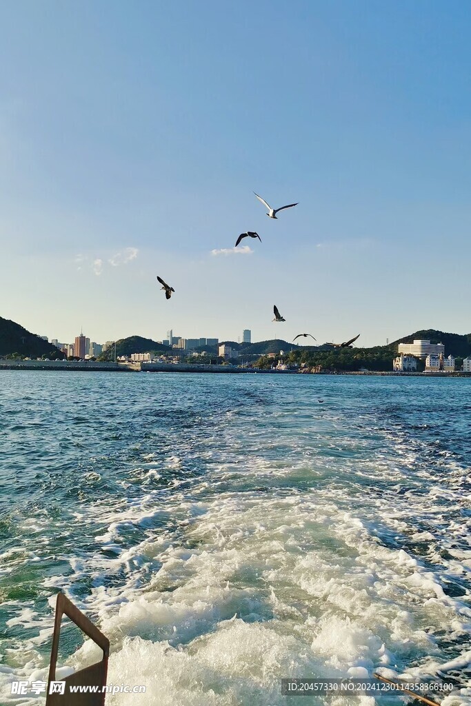 大連的海