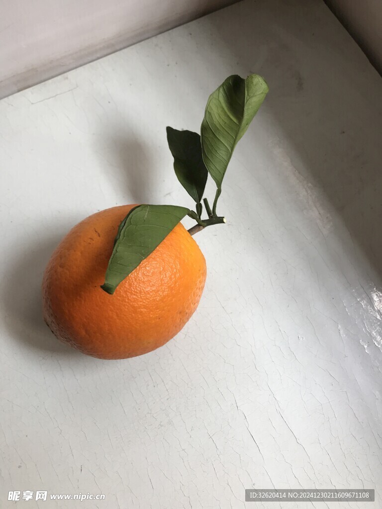 橙子 臍橙 