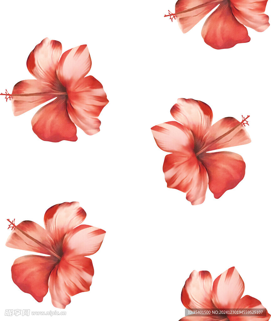 熱帶花