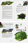 桑葉茶單頁 文字未轉(zhuǎn)曲
