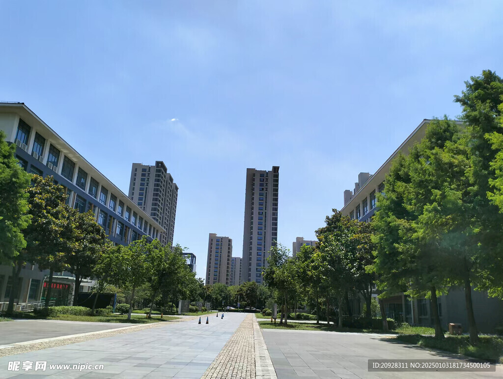 自然風景