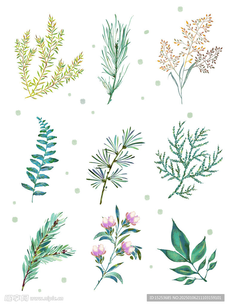植物組合