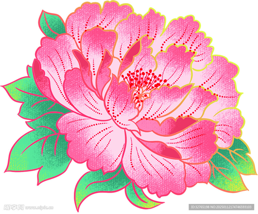 牡丹花