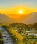 田園風(fēng)景
