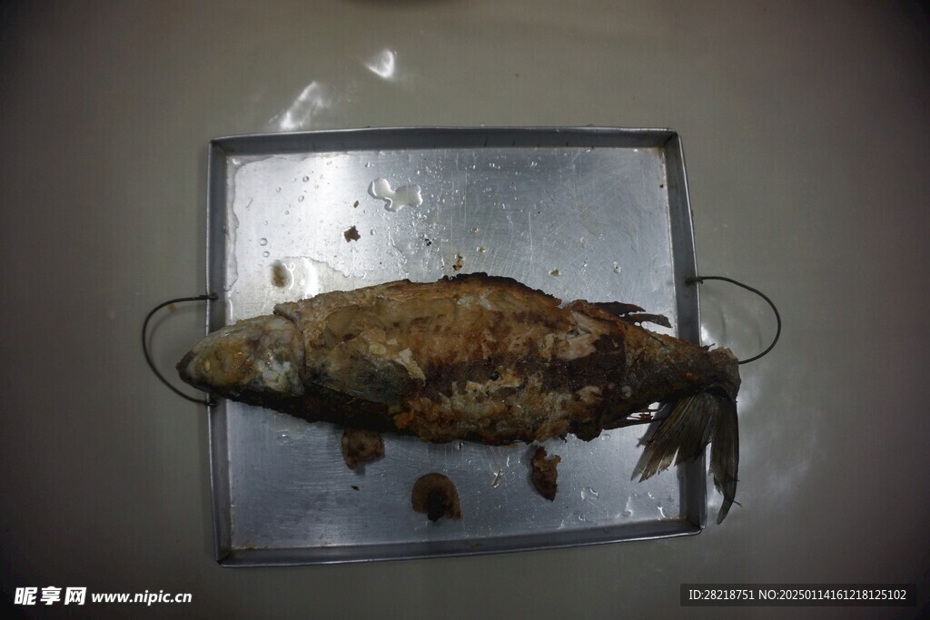 黑魚