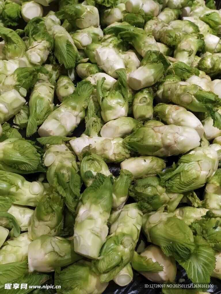 兒菜