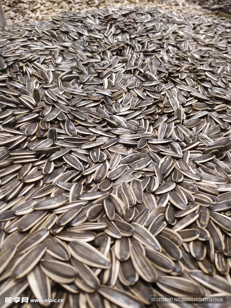 黑瓜子 