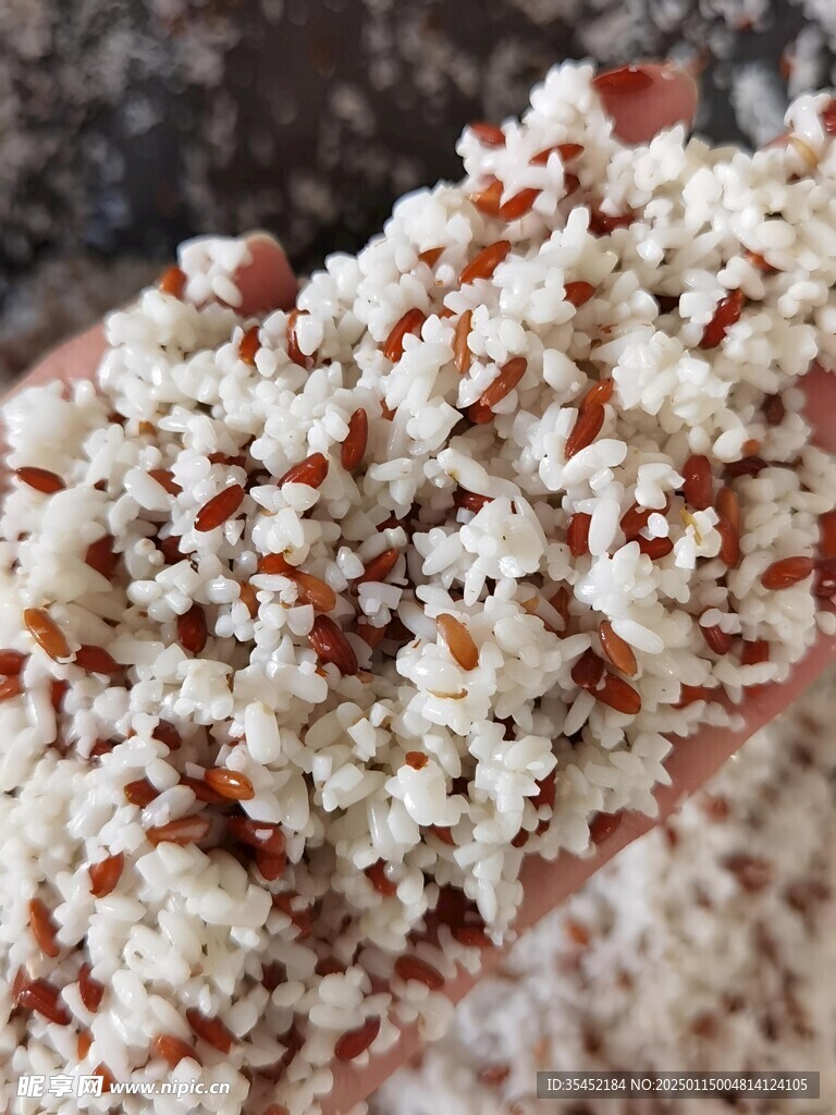 糙米飯