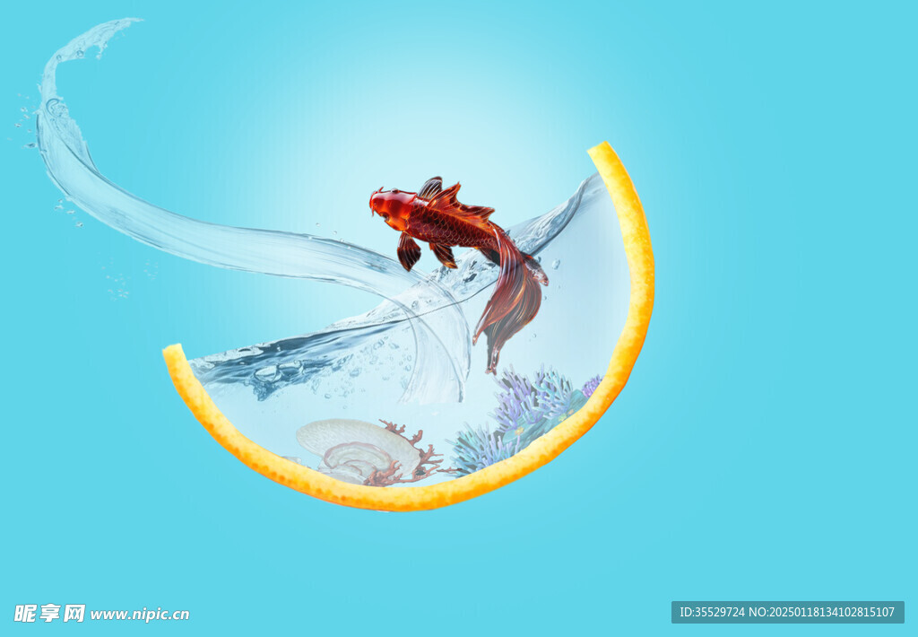 在逃金魚  