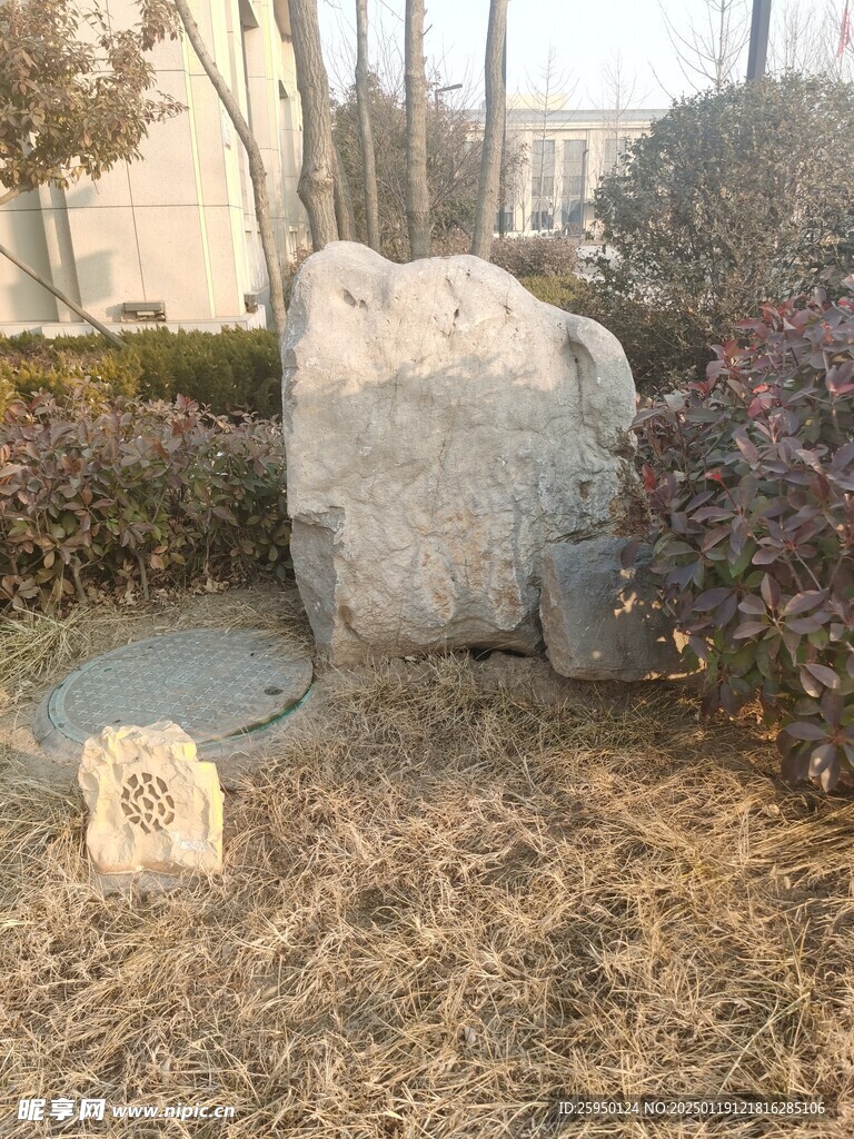 觀賞石