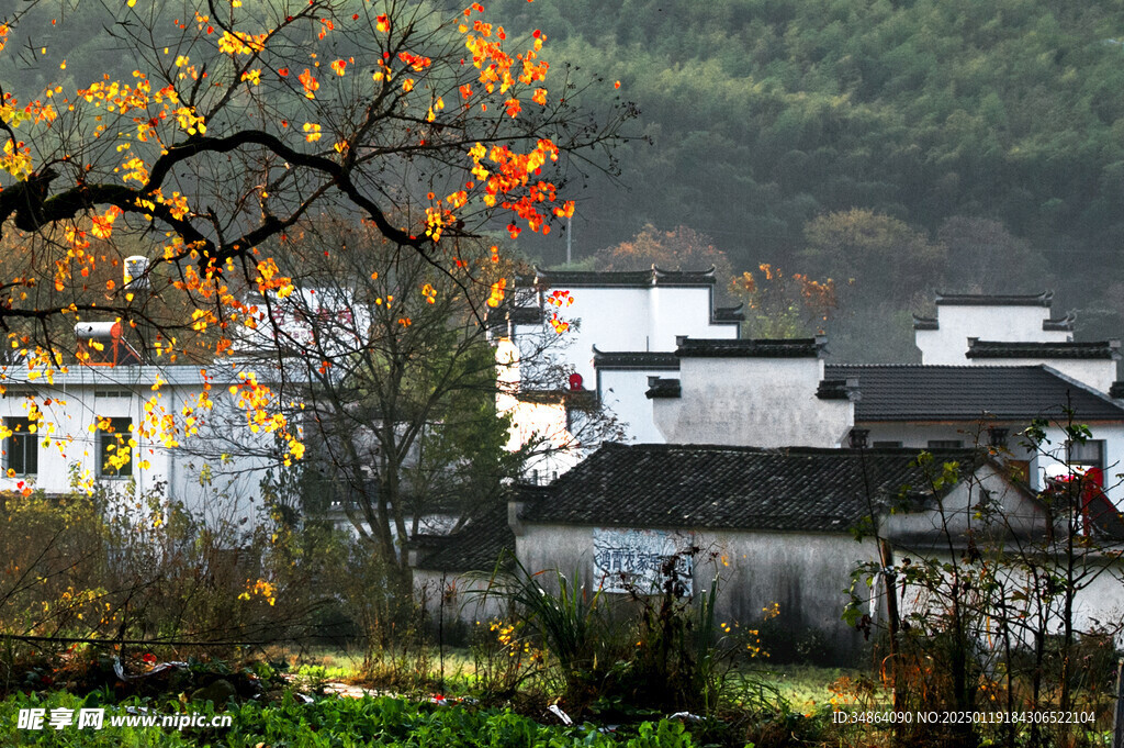 安徽塔川秋色風(fēng)景圖片