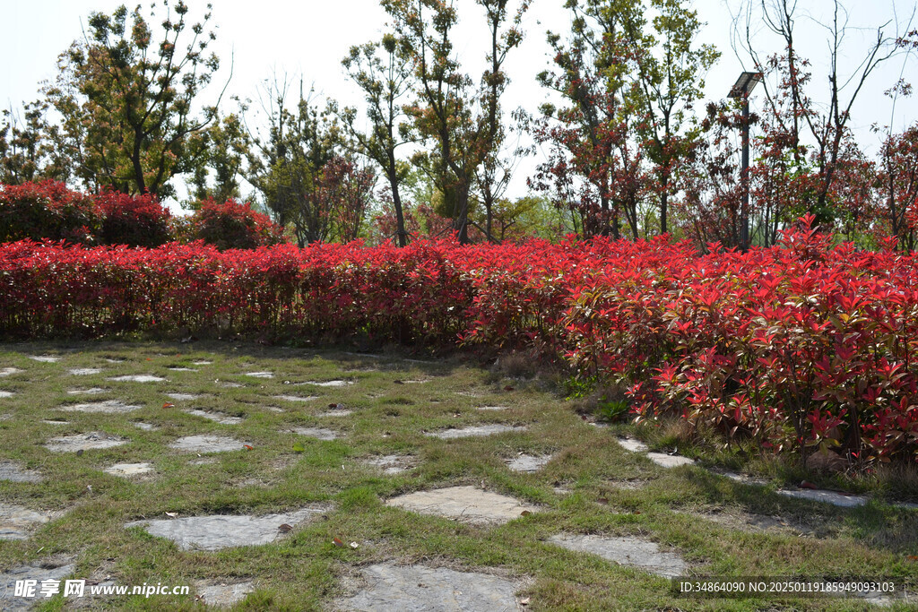 大蜀山森林公園風(fēng)景圖片
