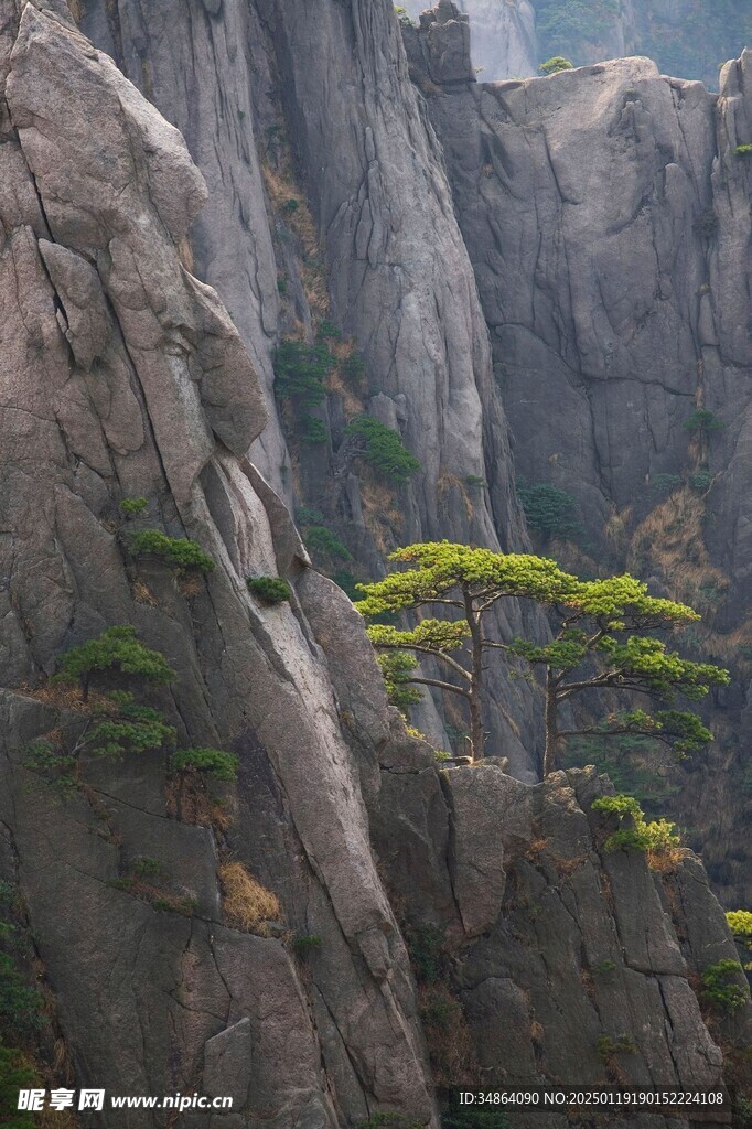 黃山怪石圖片