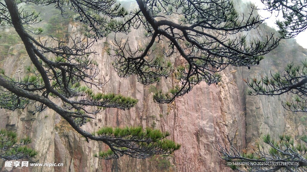 巍峨的安徽黃山自然風(fēng)景圖片