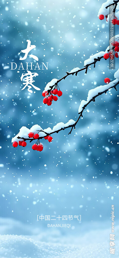 雪景大寒節氣宣傳海報