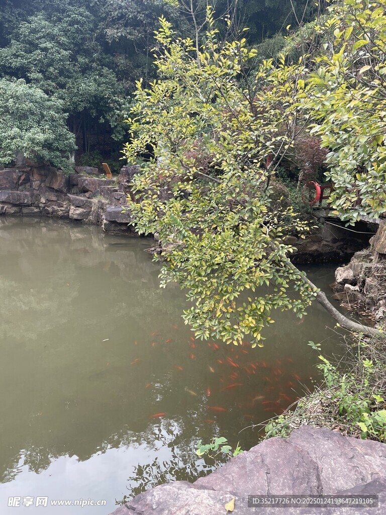 山水