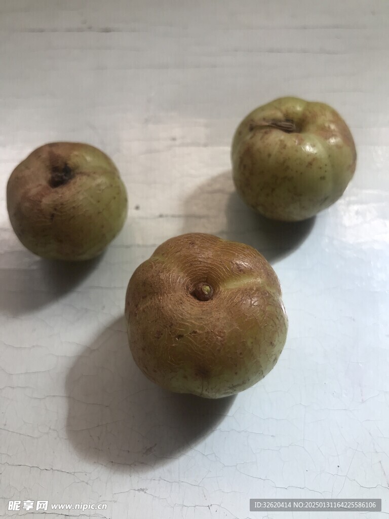 油柑
