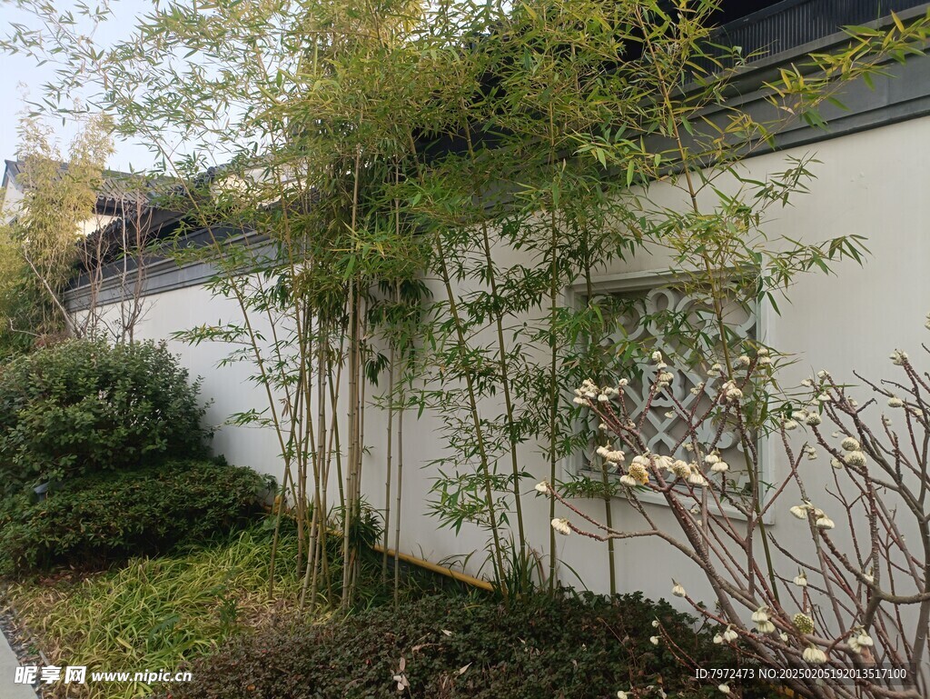 藍城桃花源